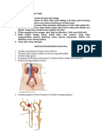 Tugas Biologi Kelas II