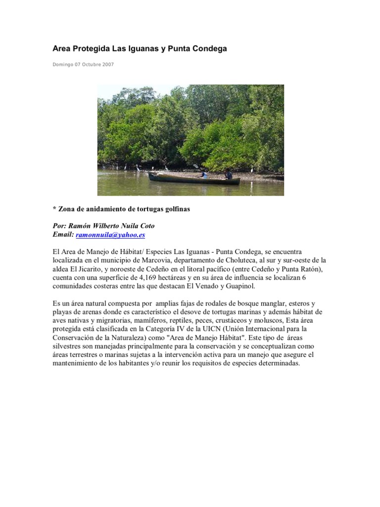 Area Protegida Las Iguanas y Punta Condega | PDF | Tortuga marina ...