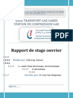  rapport final