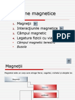 fenomene_magnetice