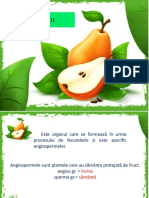 tipuri_de_fructe_5.ppsx (2)