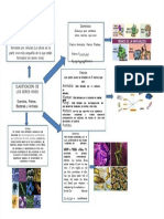 PDF Infografia Los Seres Vivos