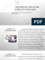 PRESENTACION-TRABAJO DE INVESTIGACIÓN-TEMA-PERSONAS DE LA TERCERA EDAD-Sheila Cancel