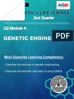 GENETIC ENGINEERING: GMOs