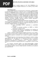 Model Manual Politici Contabile