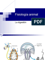 Fisiologa Animalnutricionweb 1210074826402088 8