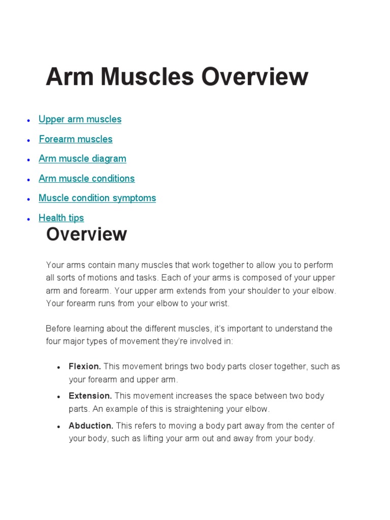 Arm Muscles Overview PDF Arm Anatomical Terms Of Motion