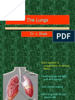 The Lungs: Dr. J. Shaik