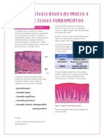 Histopatologia Básica e Lesões Fundamentais Da Mucosa Oral