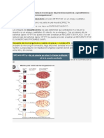 Documento Sin Título