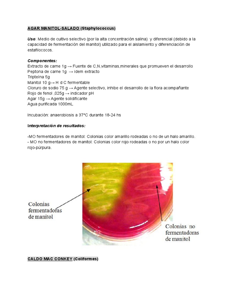 Medios de Cultivo PDF
