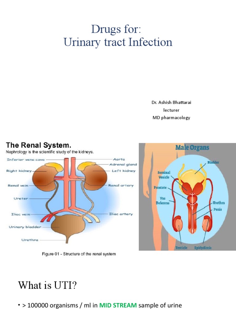 A Comprehensive Guide to Managing Urinary Tract Infections Through Non