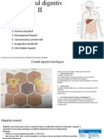 LP6-gastrointestinal 2