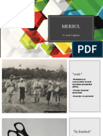 Inspecția generală-Mersul