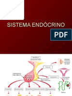 Sistema Endócrino Atual