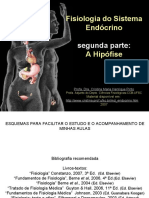 Endocrino Hipofise 2007