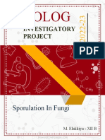 Fungal Sporulation Investigation