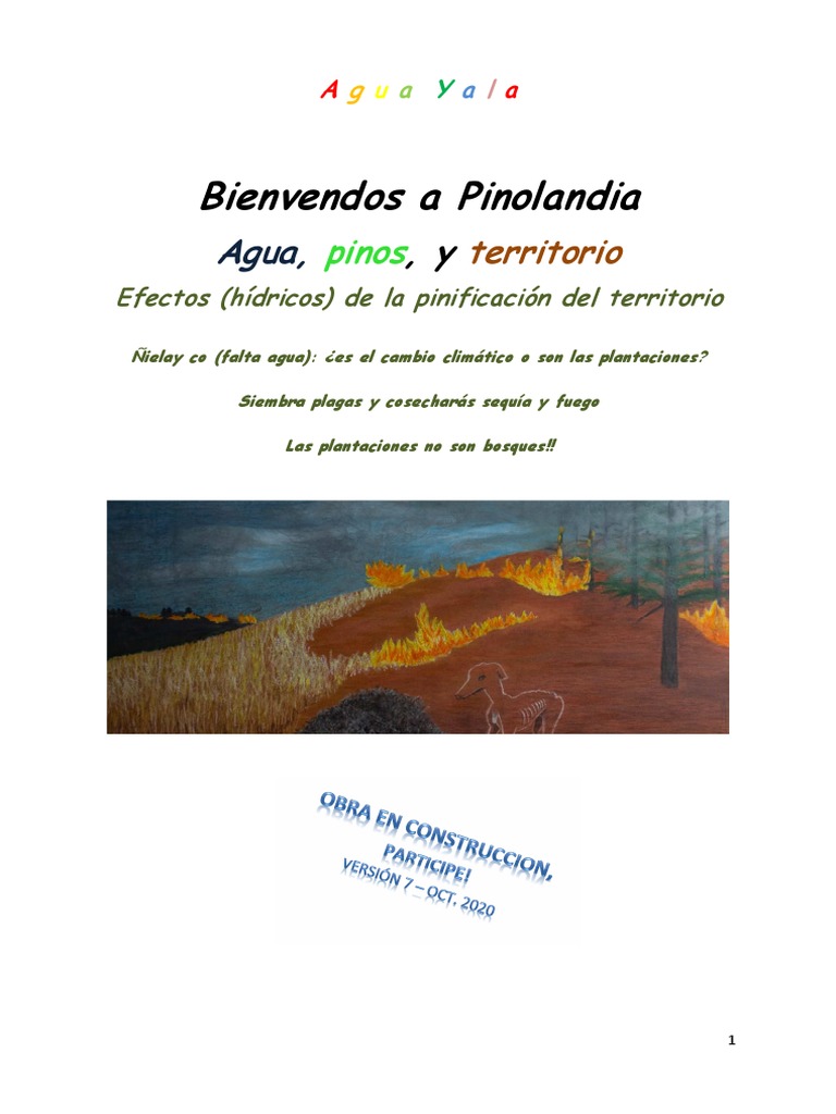 Impacto de Plantaciones de Pinos en Patagonia | PDF | Tecnología