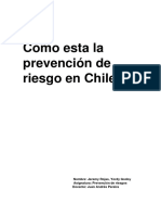 Ensayo Prevencion