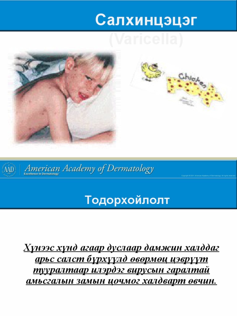 салхинцэцэг | PDF