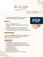 Thyroid Gland - Sherouk