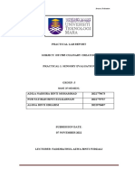 PRACTICAL LAB REPORT 