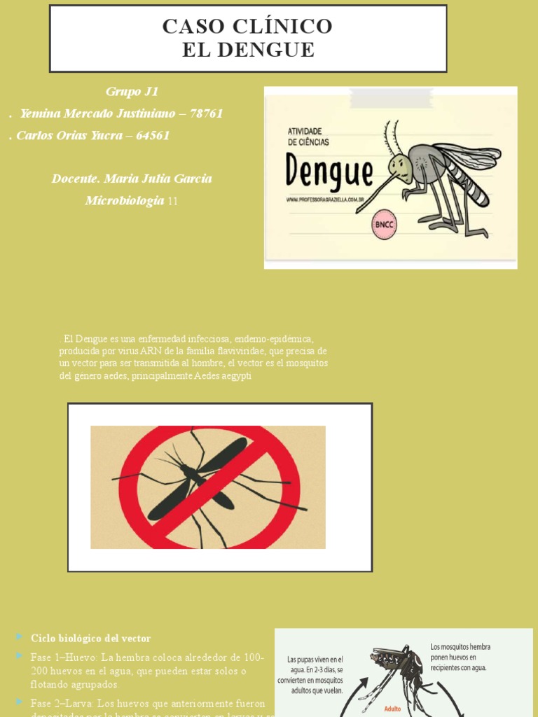 Caso Clínico de Dengue en Paciente Joven | PDF