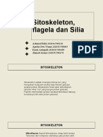 Sitoskleton, Silia, Flagela