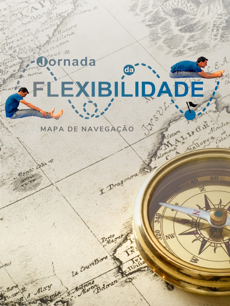 Guia de Navegação para Flexibilidade | PDF | Artes Linguísticas e ...