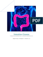 Intestino Grueso: Formación de Materia Fecal y Reflejo de Defecación