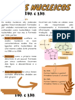 Ácidos Nucleicos