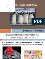 3.diversidade Estrategias