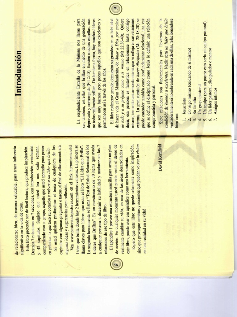 lider-que-brilla-pdf