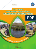 La Totora Un Recurso Estratégico Del Municipio de Puerto Peréz