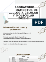 Lab Fundamentos