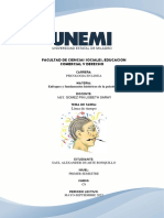 Linea PDF