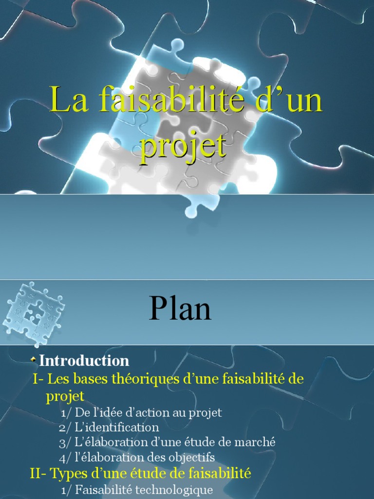 Étude de faisabilité de projet | PDF | Business | Risque