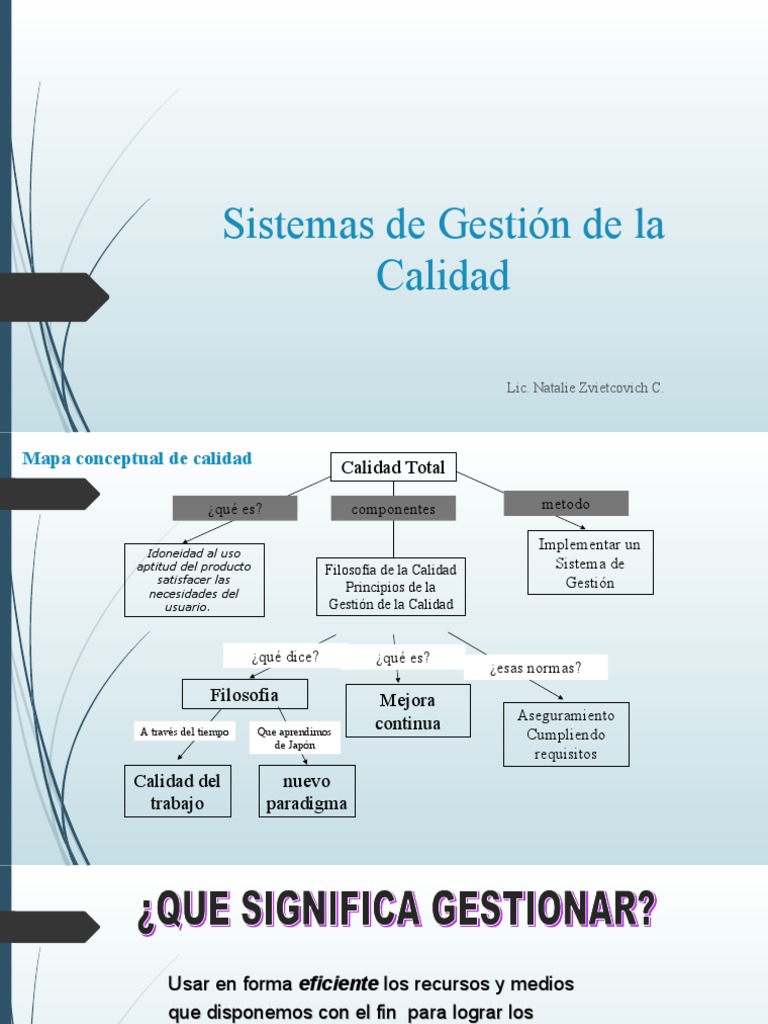 Principios de Gestión de la Calidad | PDF | Análisis de Riesgo y Puntos ...