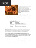 Download Cacao Resumen by urpi1415 SN60956350 doc pdf