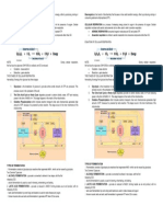 Bioenergetics Handout