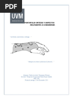 Radiografía Carpal: Técnica y Anatomía | PDF | Mano | Sistema ...