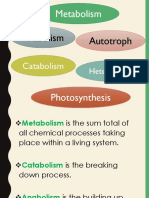 Photosynthesis (2022 2023)
