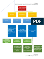 Complicaciones Menores Durante El Embarazo