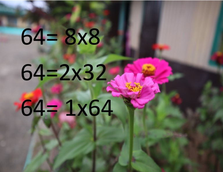 factors-of-64-pdf