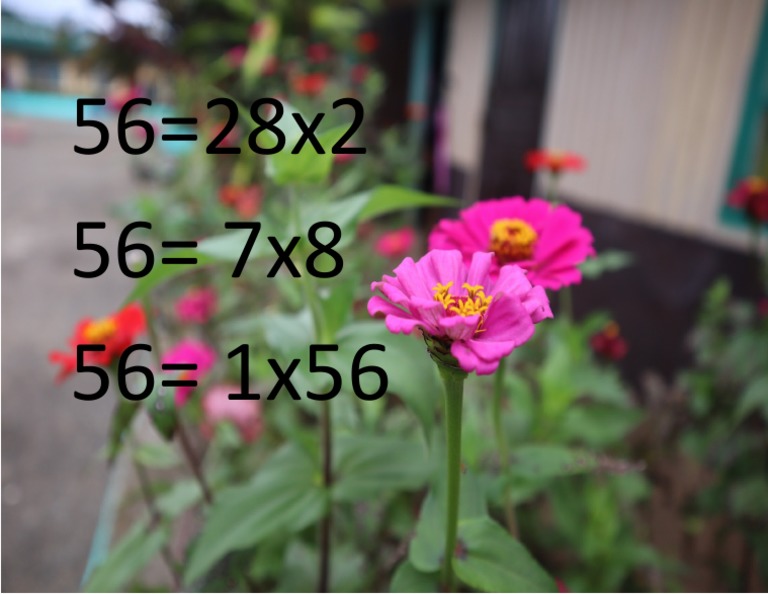 factors-of-56-pdf