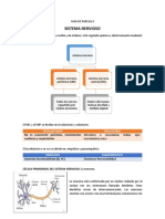 Guia Anatomia Ii Segundo Parcial