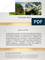 Presentación - Planta Tilo.