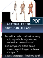 Sistem Tulang ANFIS