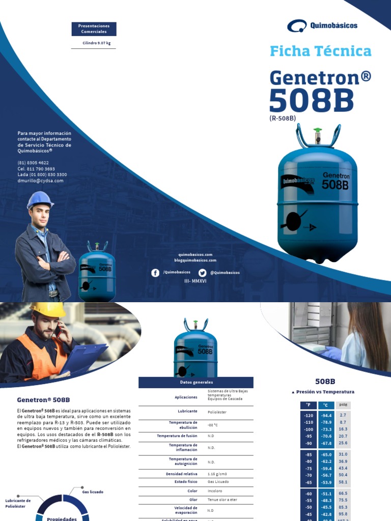 508B Gas | PDF | Mecánica estadística | Metrología