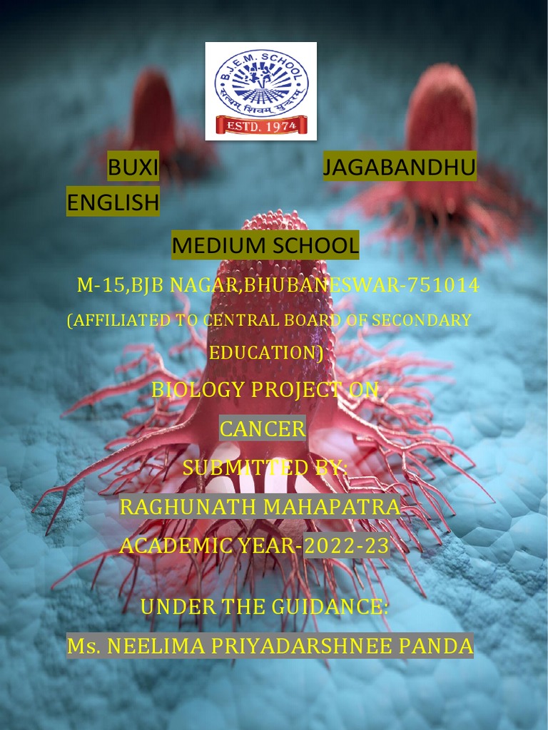 Buxi Jagabandhu English: Medium School | PDF